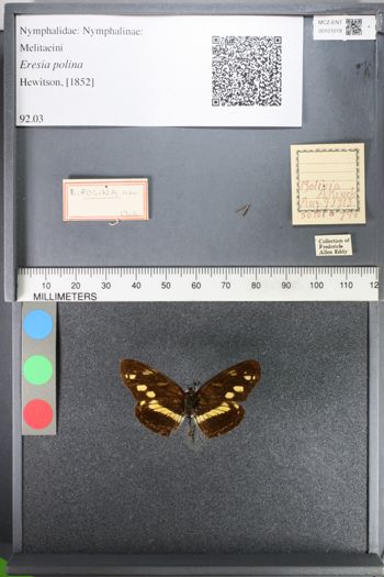 Media type: image;   Entomology 101019